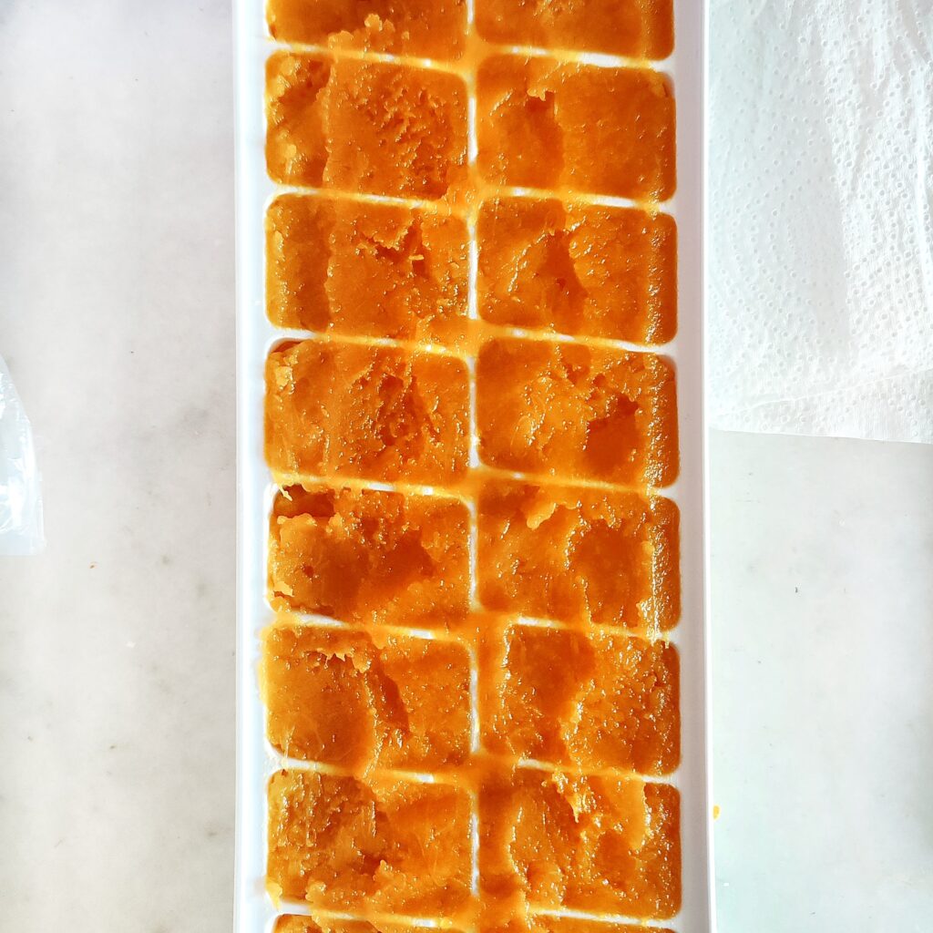 pumpkin puree in ice tray