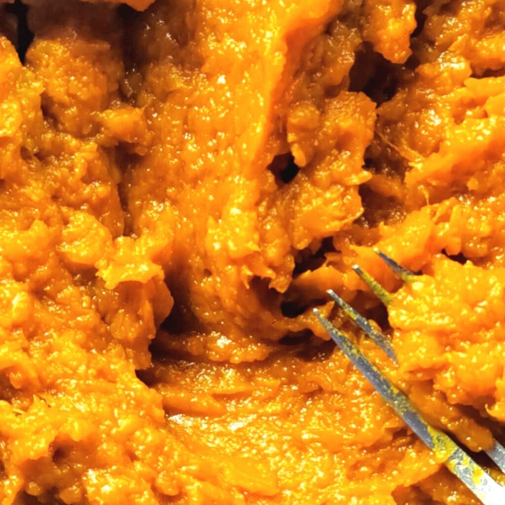 pumpkin puree